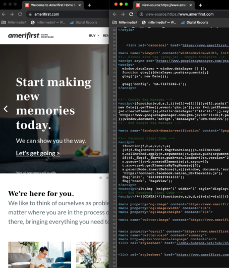 Development Image